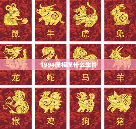 1994年屬什麼生肖|1994年属什么生肖 1994年出生是什么命